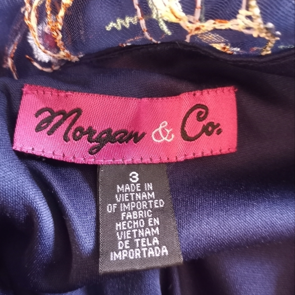 Morgan & Co Embroidered Floral Sheer Mesh Overlay Illusion Neckline Fairy Dress - Picture 8 of 8